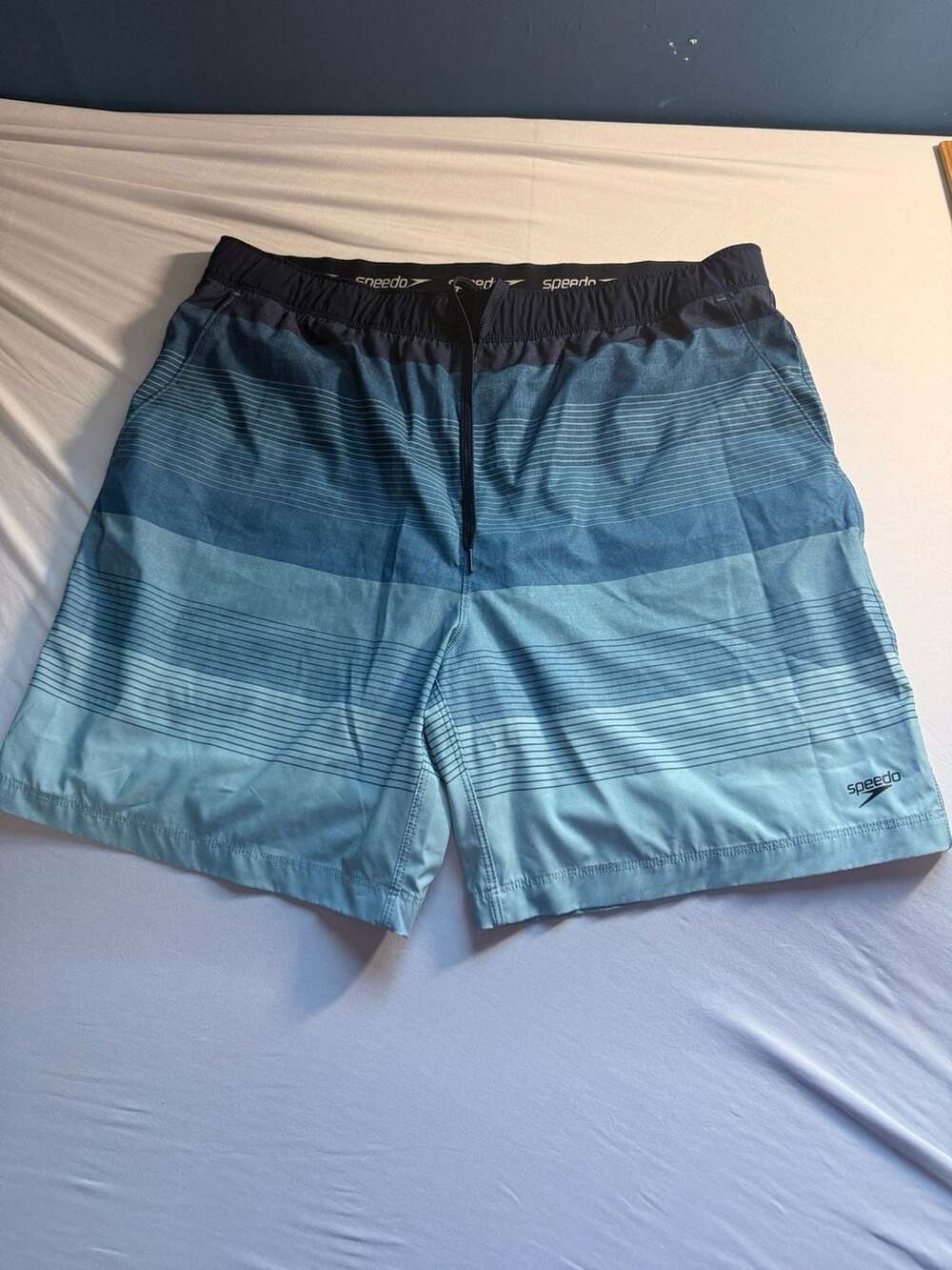Speedo Men's Tech Volley Swim Shorts, Blue, XL (36/38)